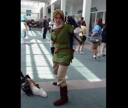 ������Ĵ�˵Link