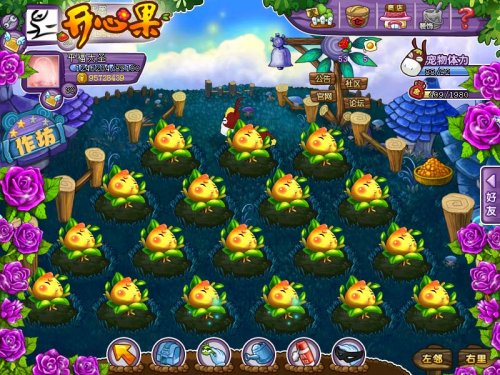 果园神奇宝贝 网游《开心果》中的快乐小孩 -