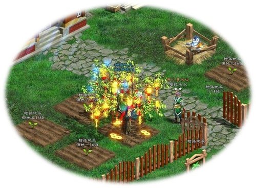 ȫ��͵�ˡ���;2����ׯ԰����������